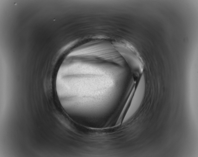 X0000086290535200704201925