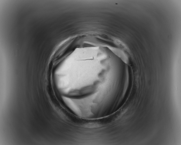 X0000086290536200704201925