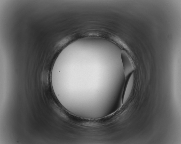 X0000086290537200704201925