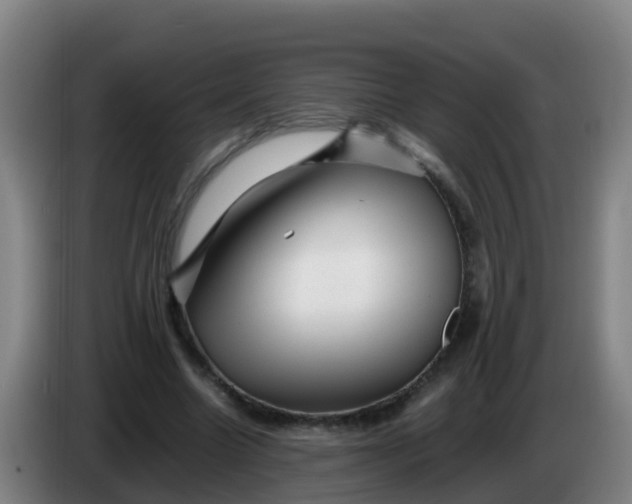 X0000086290538200704201925