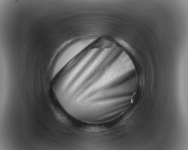 X0000086290540200704201925