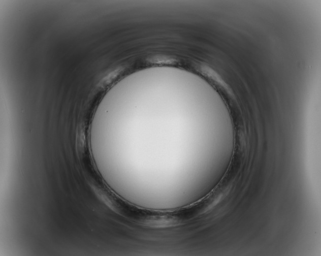 X0000086290541200704201925