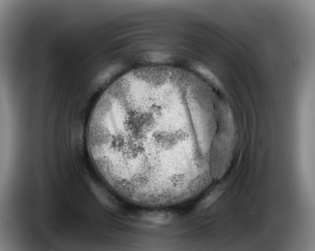 X0000086290542200704201925