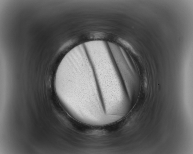 X0000086290543200704201925