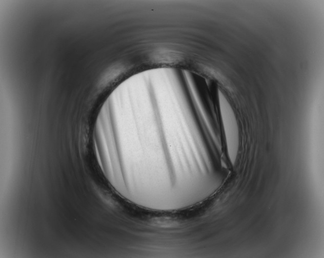 X0000086290544200704201925