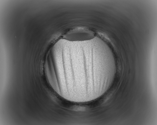 X0000086290545200704201925