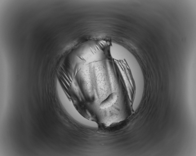 X0000086290546200704201925