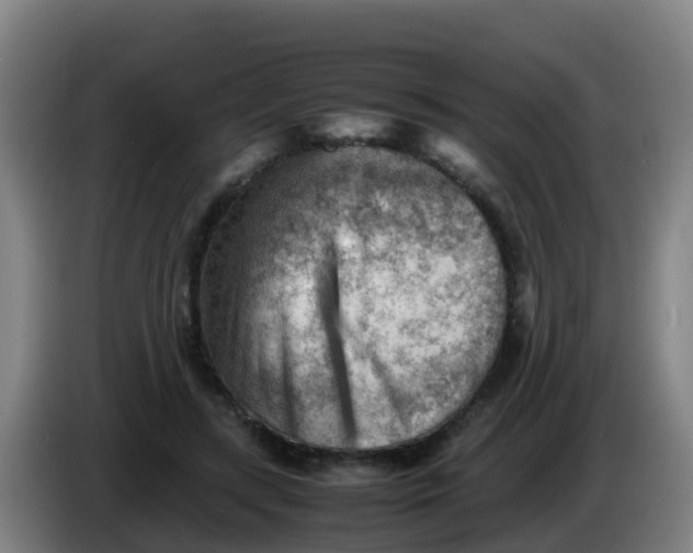 X0000086290547200704201925