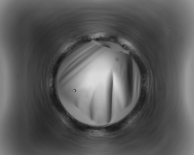 X0000086290548200704201925