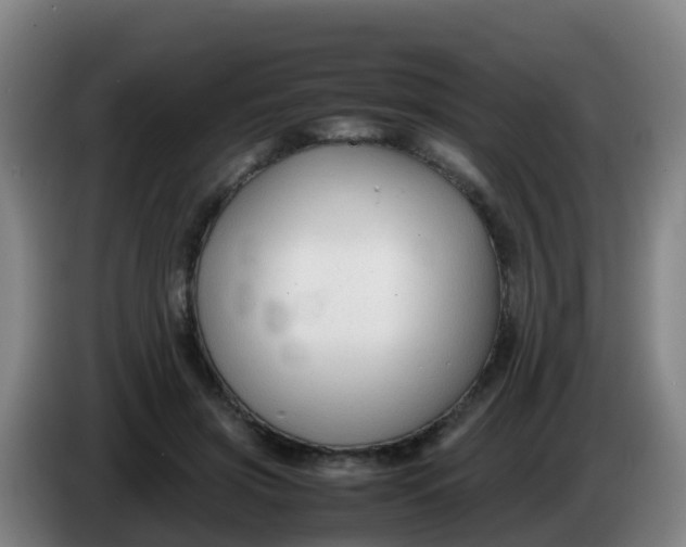 X0000086290549200704201925