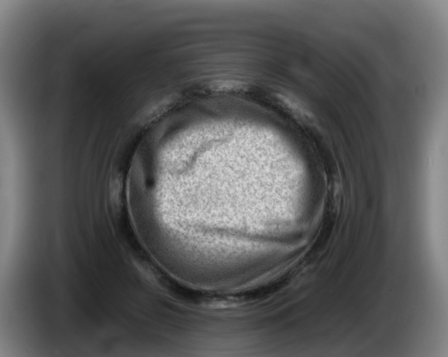 X0000086290550200704201925