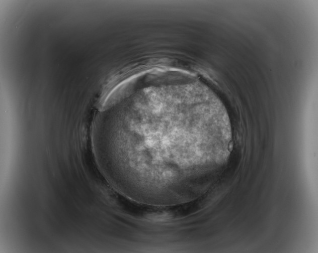 X0000086290551200704201925