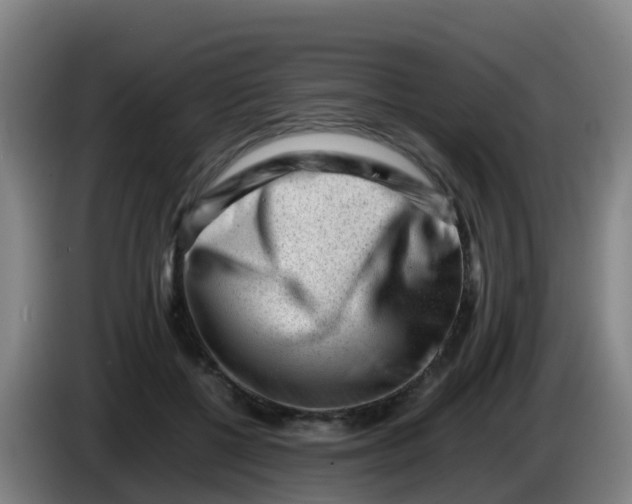 X0000086290552200704201925