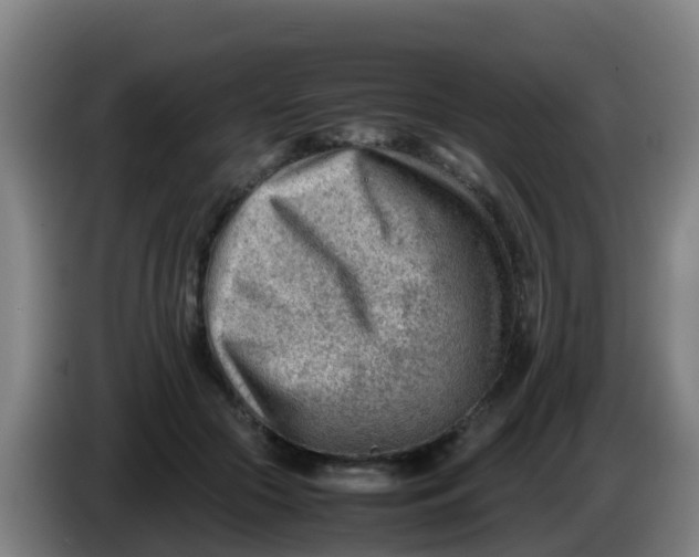 X0000086290553200704201925