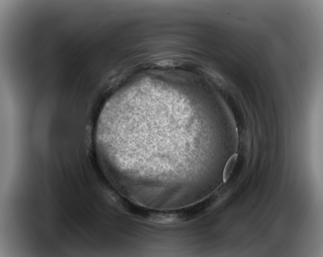 X0000086290554200704201925