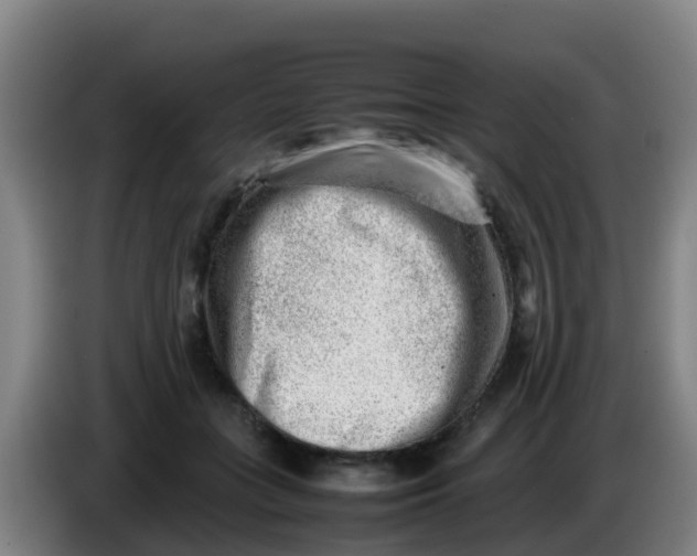 X0000086290555200704201925