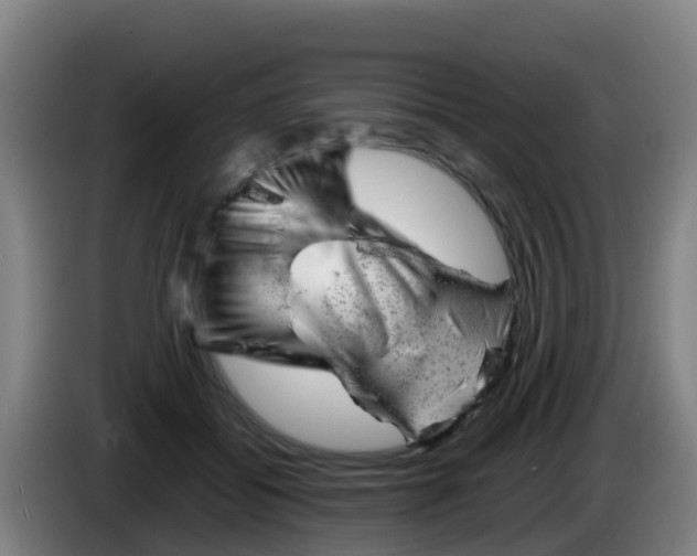 X0000086290556200704201925