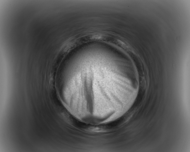 X0000086290557200704201925