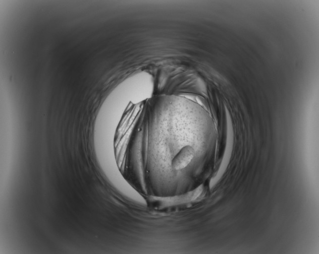 X0000086290558200704201925