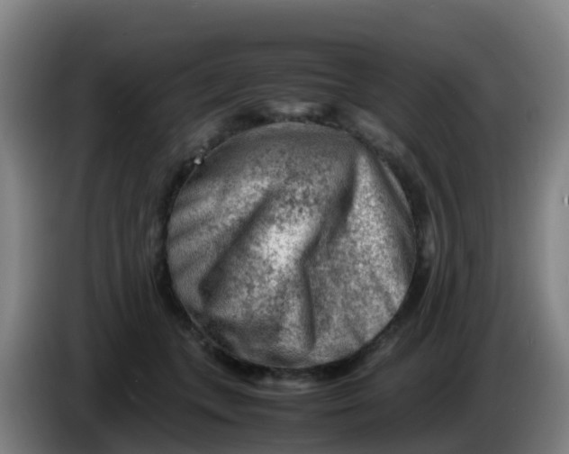 X0000086290559200704201925