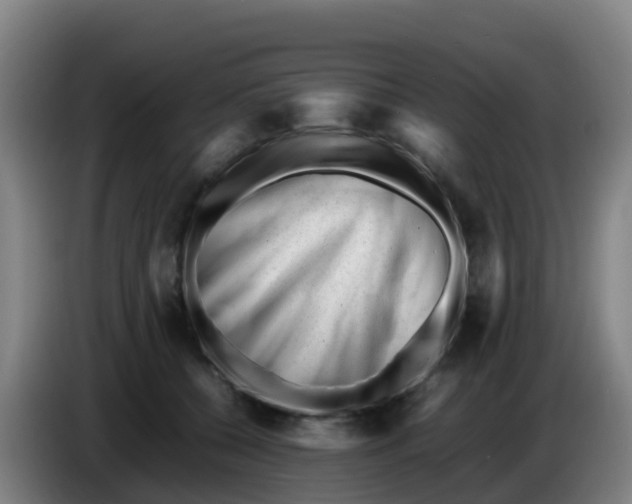 X0000086290560200704201925