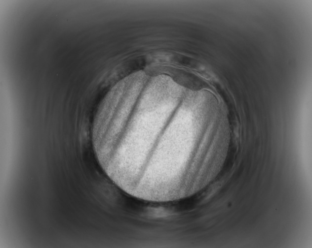 X0000086290561200704201925