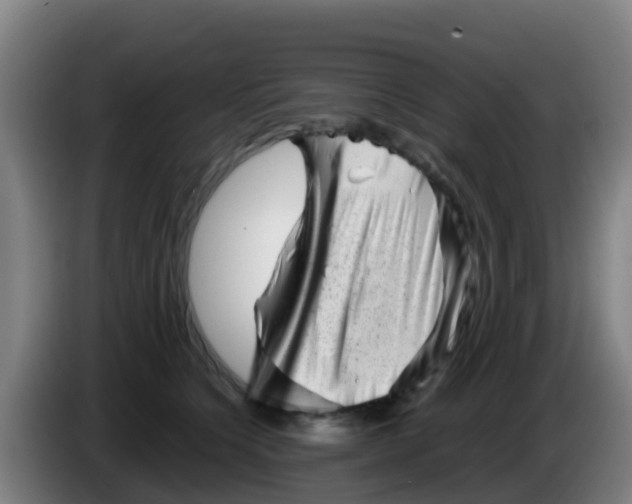 X0000086290564200704201925