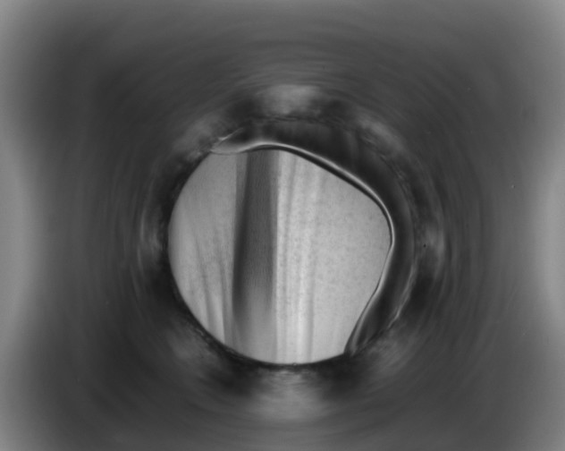 X0000086290566200704201925