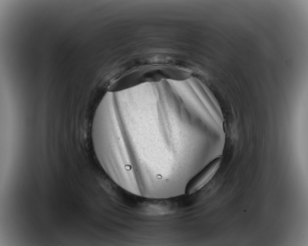 X0000086290567200704201925