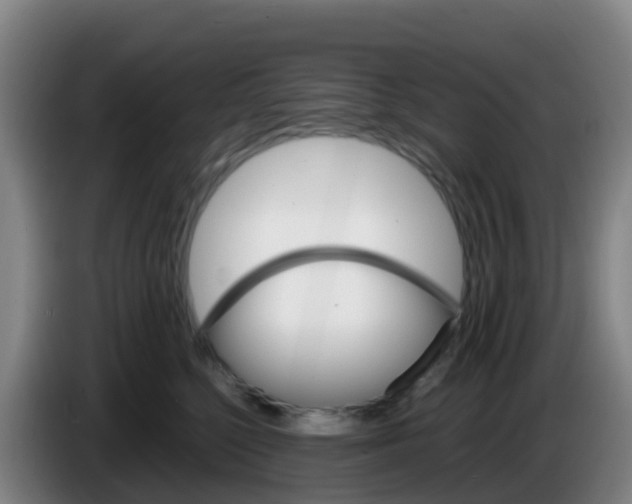 X0000086290568200704201925