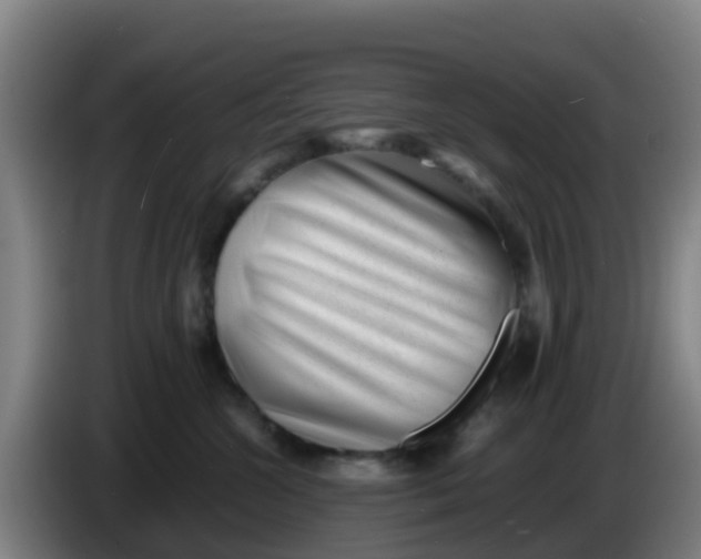 X0000086290572200704201925