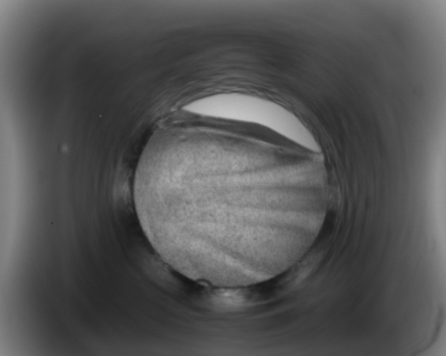 X0000086290573200704201925