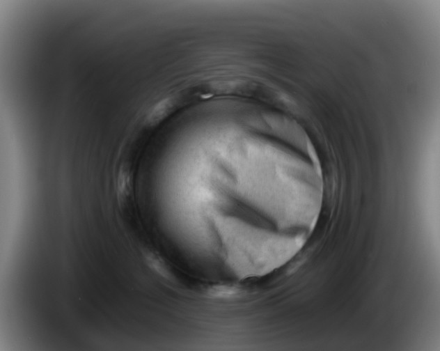 X0000086290574200704201925