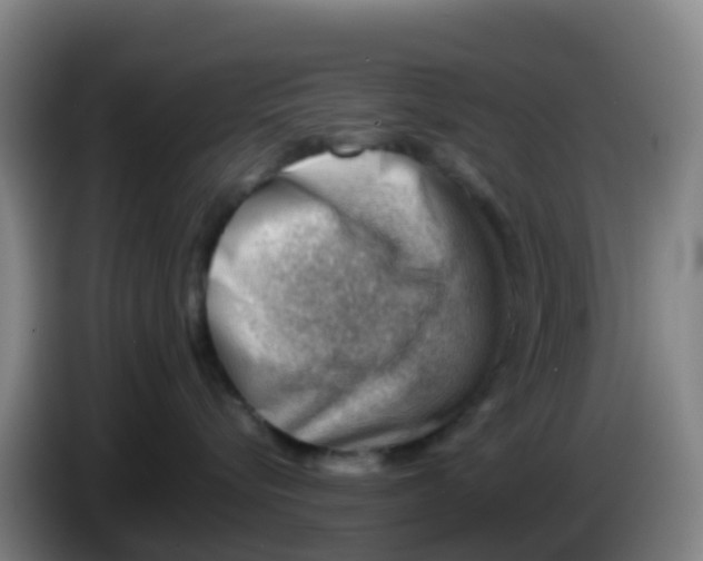 X0000086290576200704201925