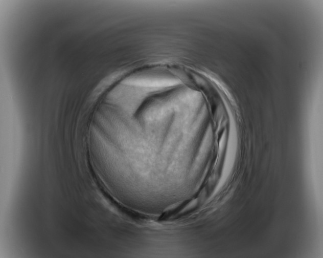 X0000086290577200704201925