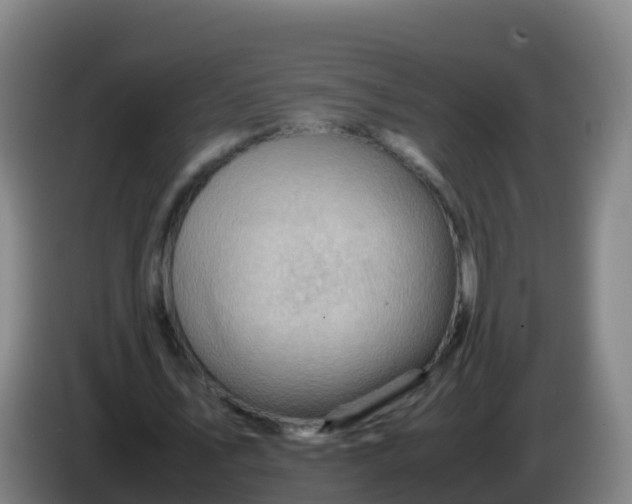 X0000086290579200704201925