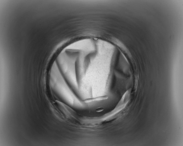 X0000086290580200704201925