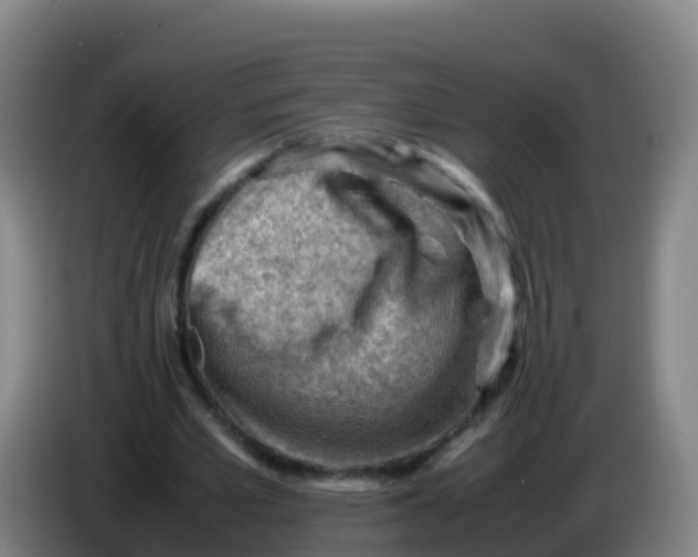 X0000086290581200704201925