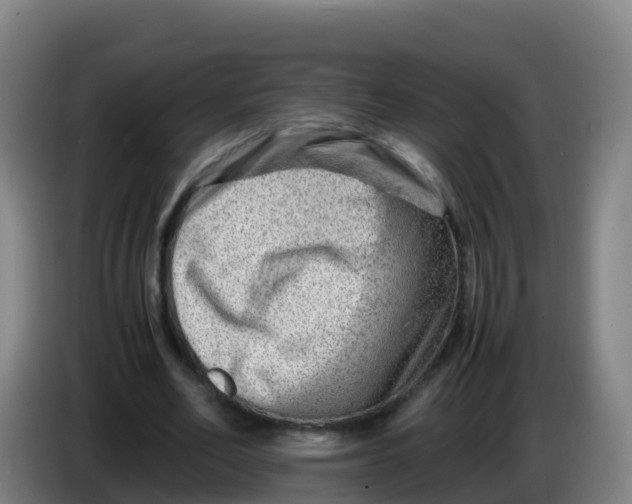 X0000086290582200704201925