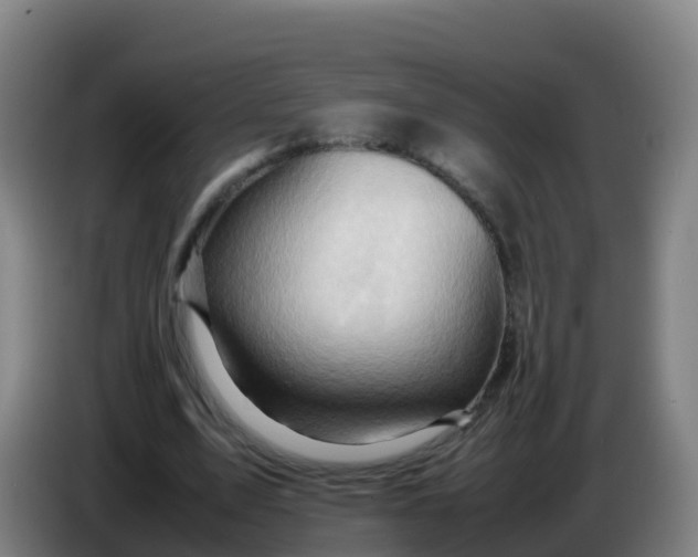 X0000086290583200704201925