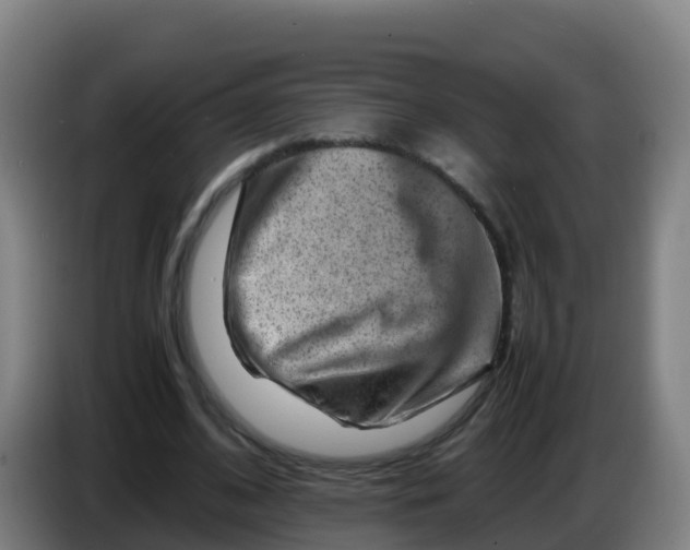 X0000086290584200704201925