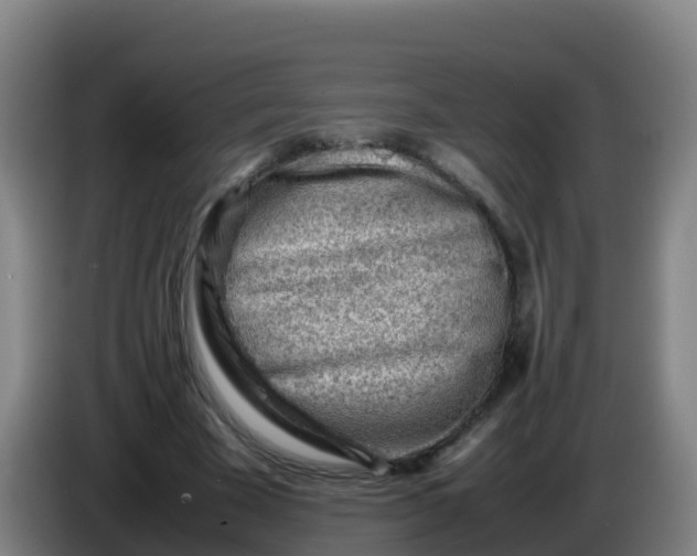 X0000086290585200704201924