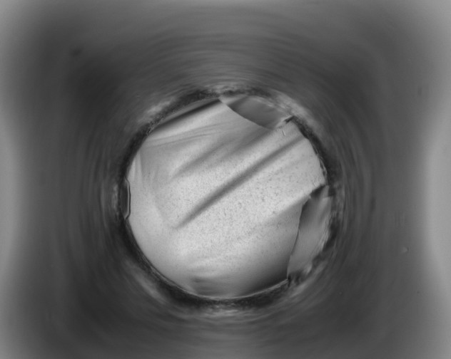 X0000086290589200704201924