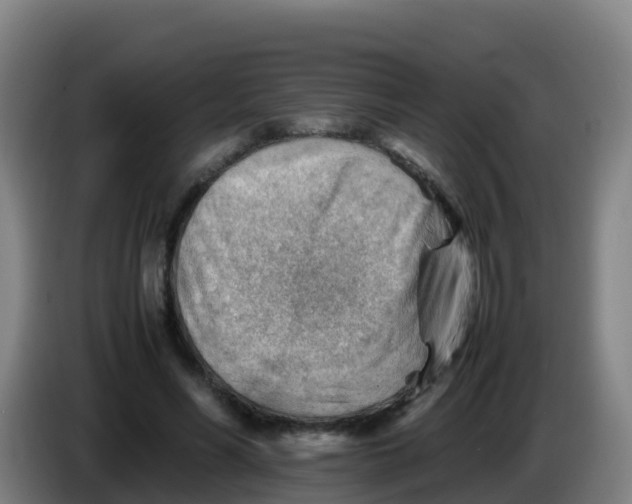 X0000086290590200704201924