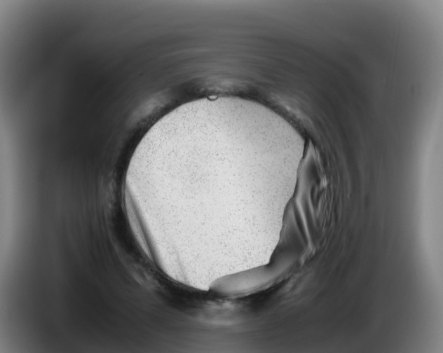 X0000086290591200704201924