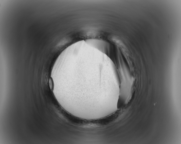 X0000086290593200704201924