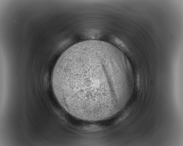 X0000086290594200704201924