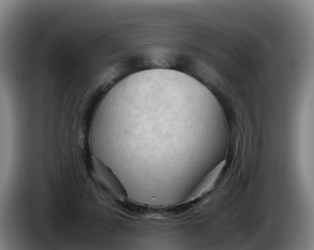 X0000086290595200704201924