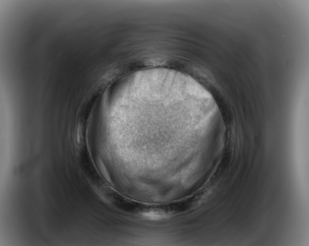 X0000086290598200704201924