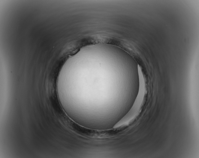 X0000086290599200704201924